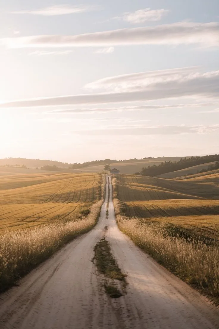 Caminho dourado num campo ao pôr do sol